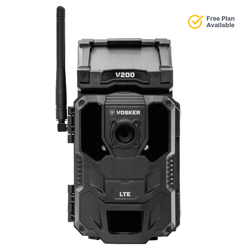 V200 - V200 USA